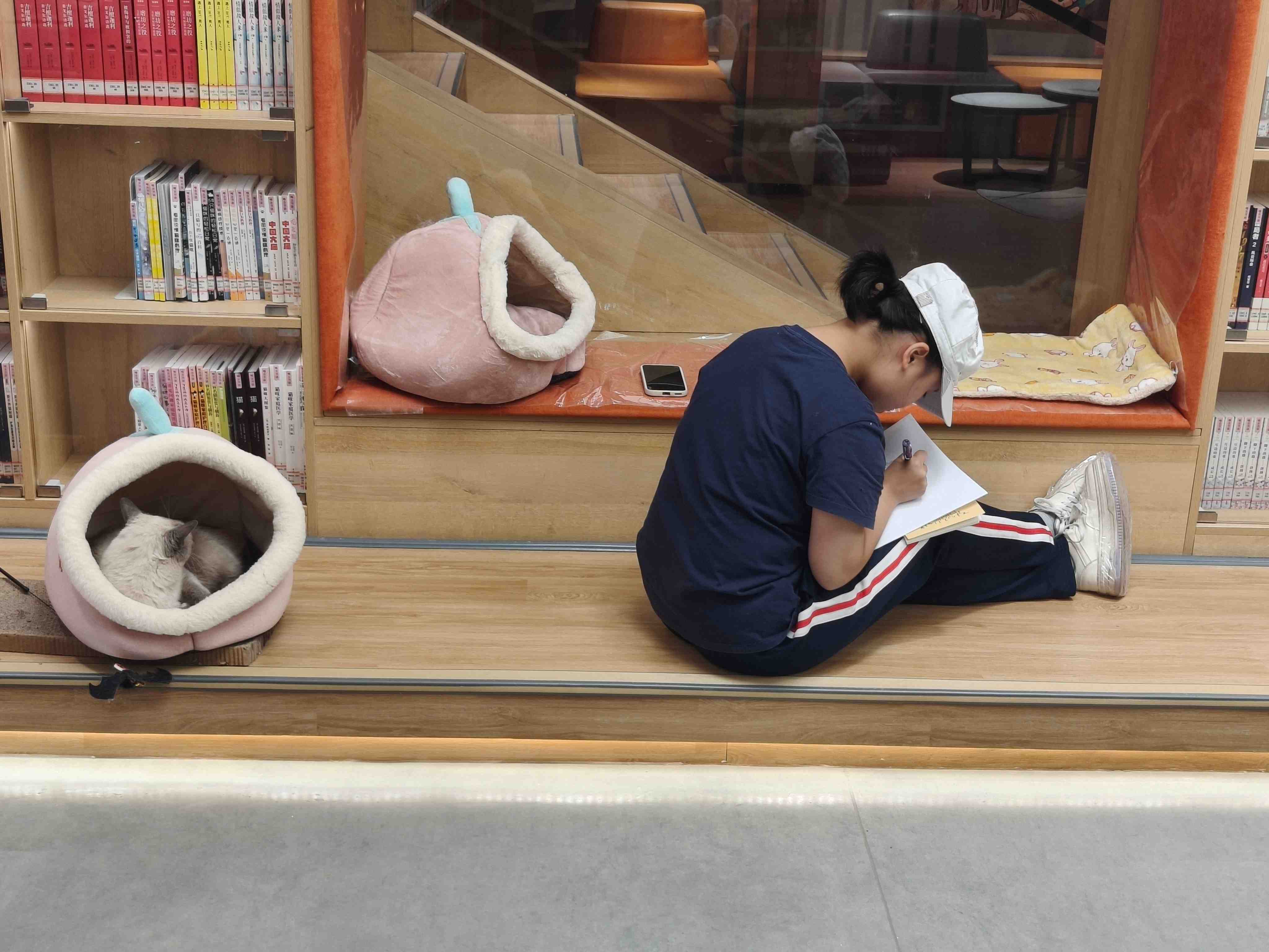 第十二期宠趣诗画-zyr摄 (2).jpg