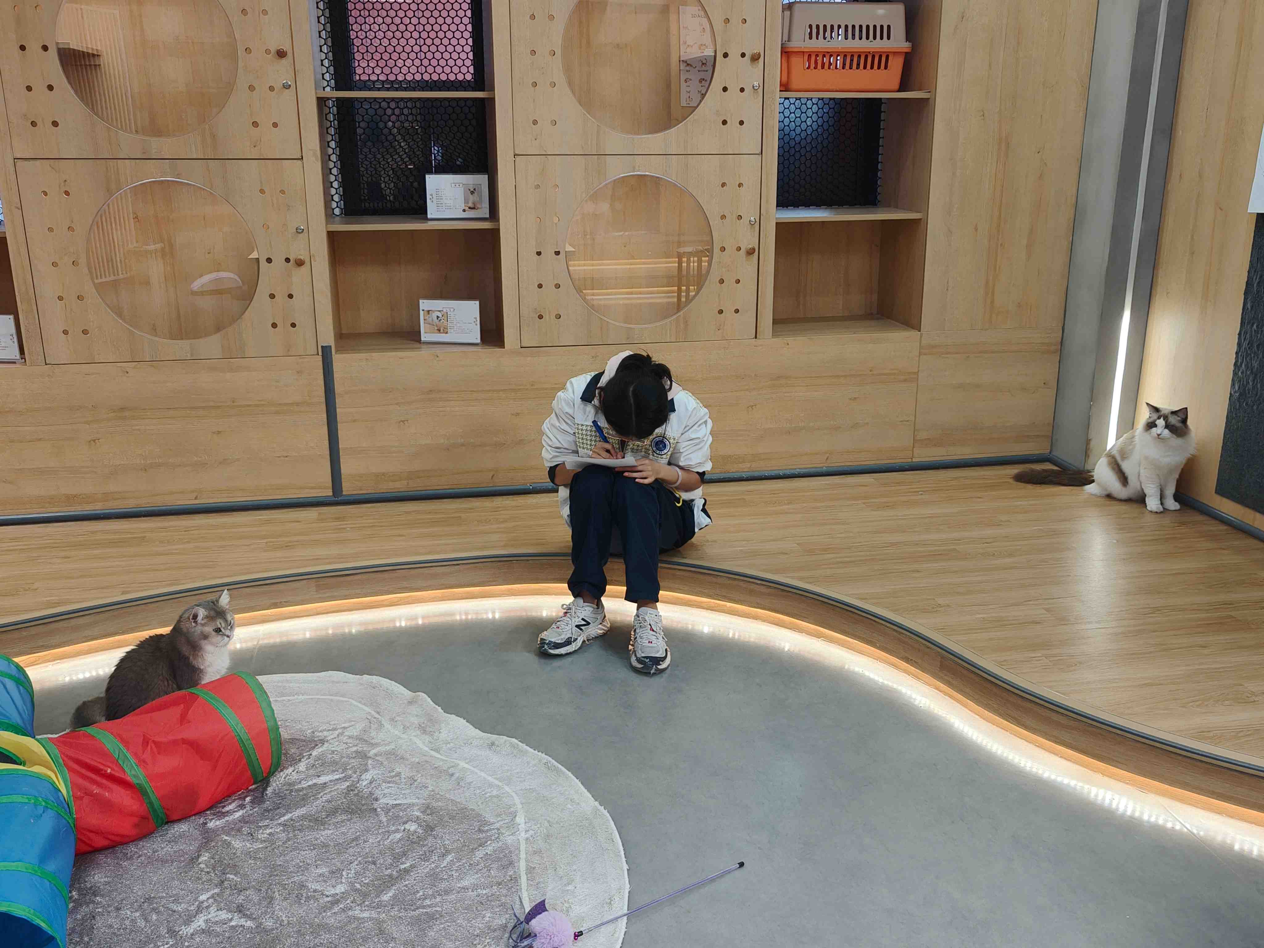 第十二期宠趣诗画-zyr摄 (4).jpg