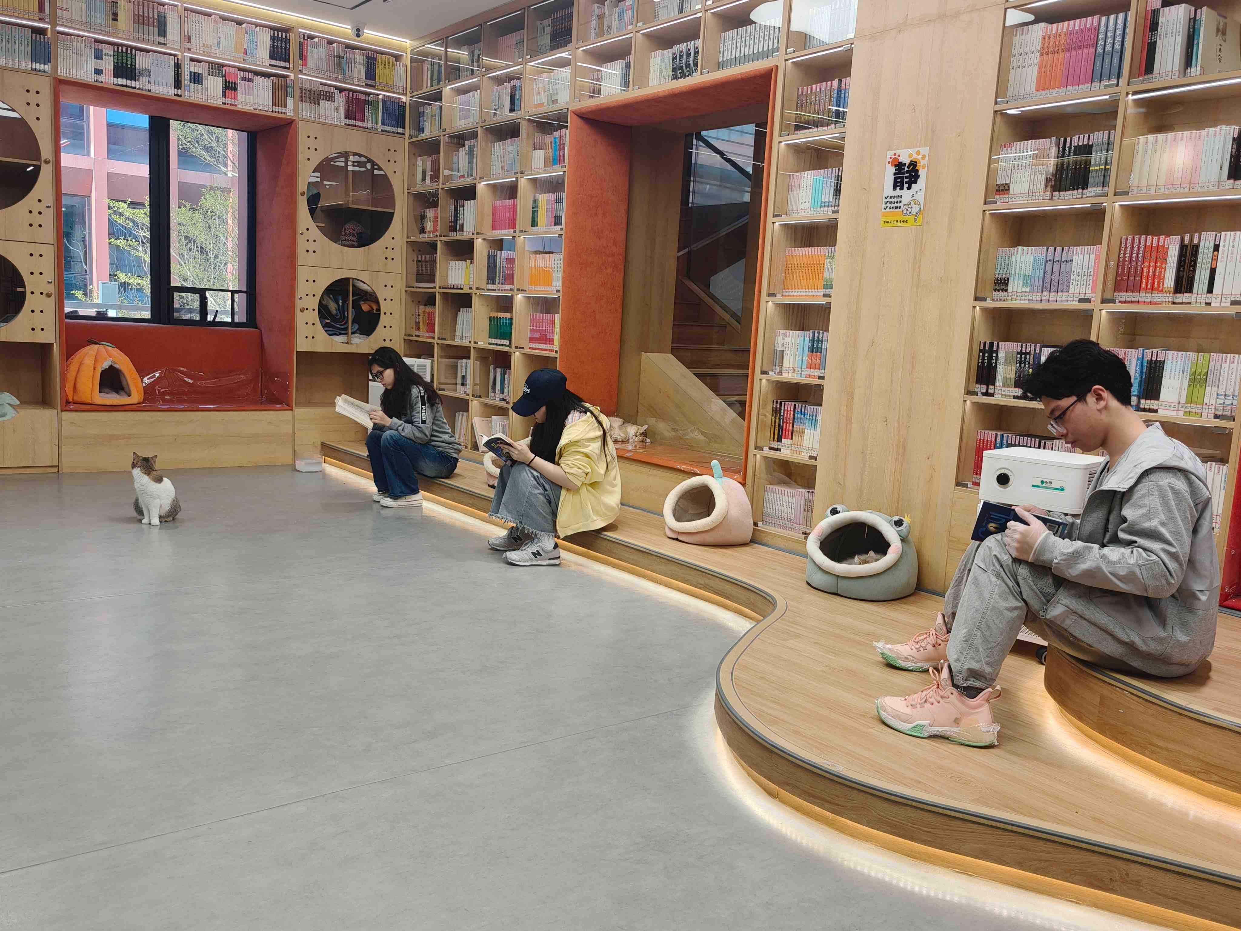 活动现场 (1).jpg