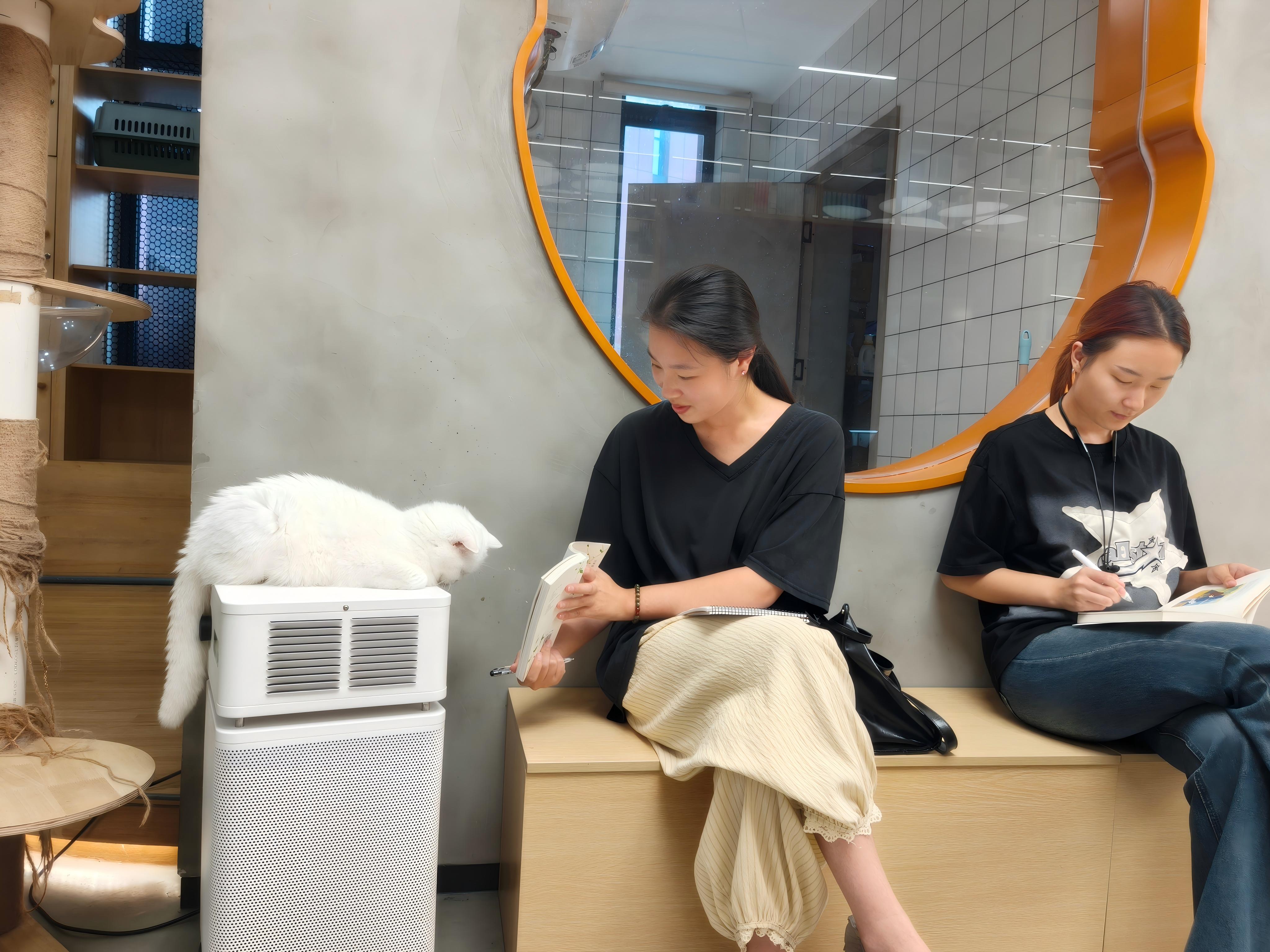 新闻稿1.jpg